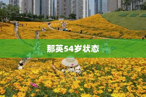 那英54岁状态