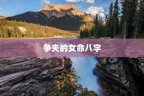 争夫的女命八字