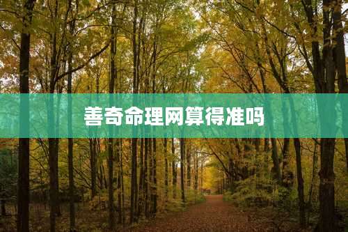 善奇命理网算得准吗