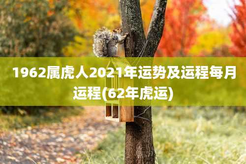 1962属虎人2021年运势及运程每月运程(62年虎运)