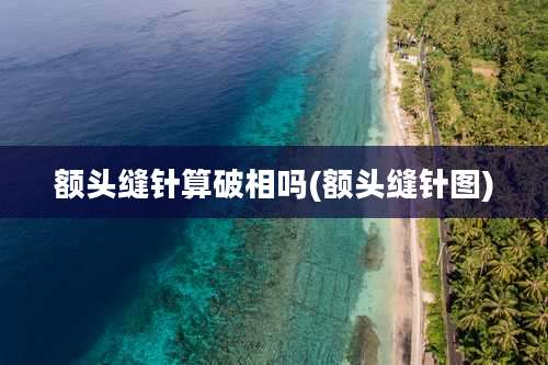 额头缝针算破相吗(额头缝针图)