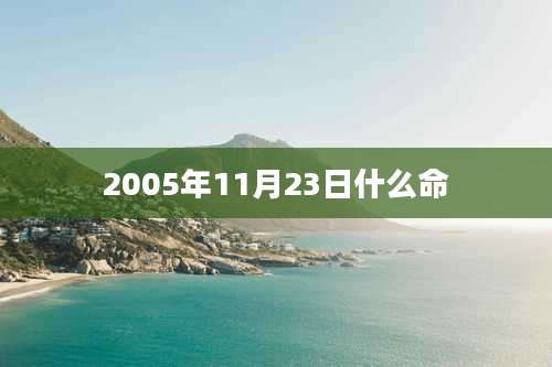 2005年11月23日什么命