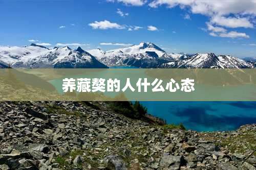 养藏獒的人什么心态