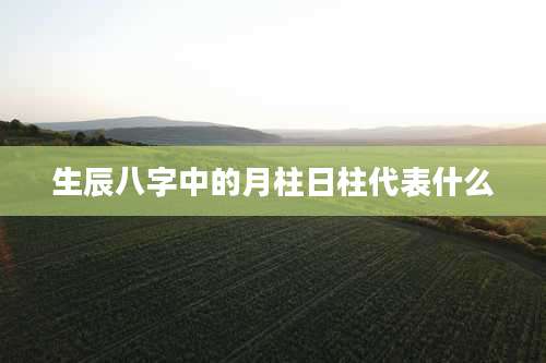 生辰八字中的月柱日柱代表什么