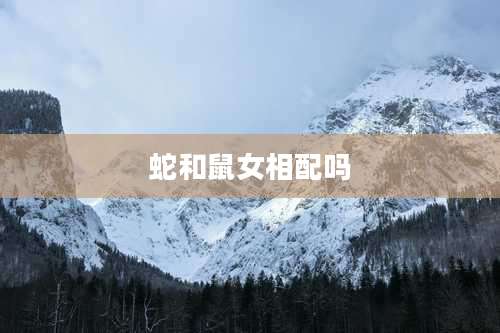 蛇和鼠女相配吗