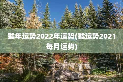 猴年运势2022年运势(猴运势2021每月运势)