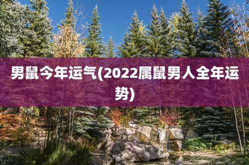 男鼠今年运气(2022属鼠男人全年运势)