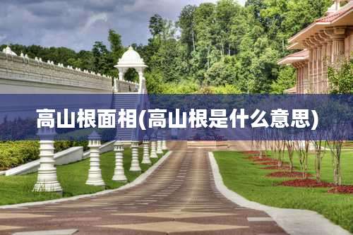高山根面相(高山根是什么意思)