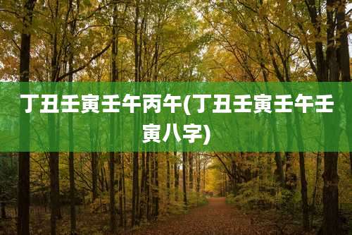 丁丑壬寅壬午丙午(丁丑壬寅壬午壬寅八字)