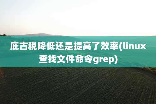庇古税降低还是提高了效率(linux查找文件命令grep)
