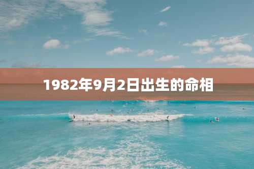 1982年9月2日出生的命相