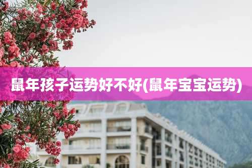 鼠年孩子运势好不好(鼠年宝宝运势)