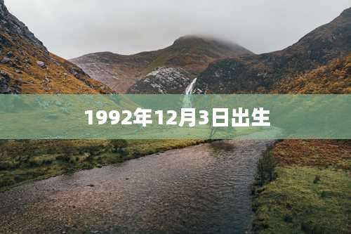 1992年12月3日出生