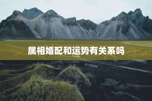 属相婚配和运势有关系吗
