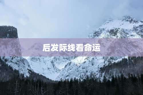 后发际线看命运