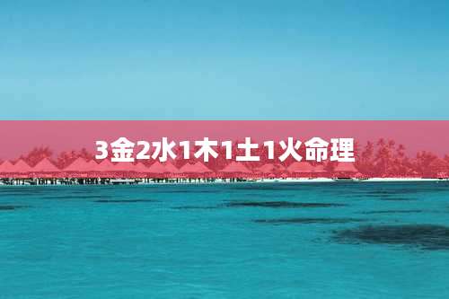 3金2水1木1土1火命理