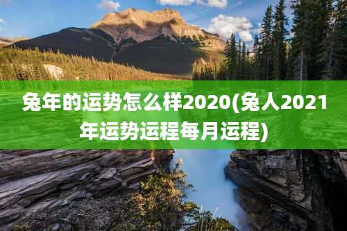 兔年的运势怎么样2020(兔人2021年运势运程每月运程)