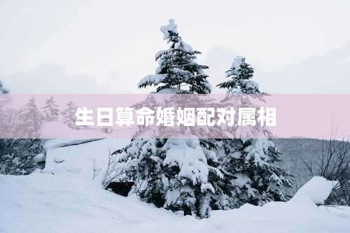 生日算命婚姻配对属相