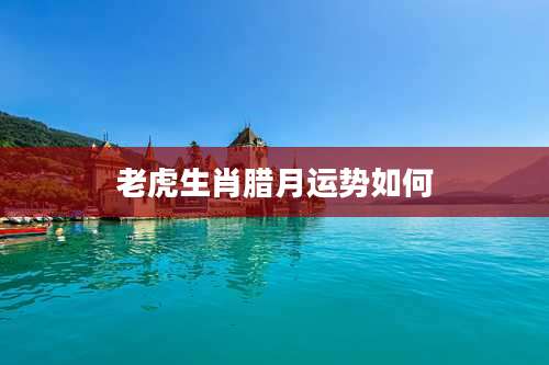 老虎生肖腊月运势如何