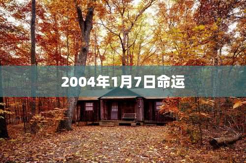 2004年1月7日命运