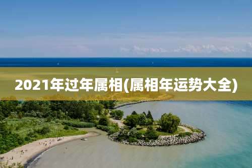 2021年过年属相(属相年运势大全)