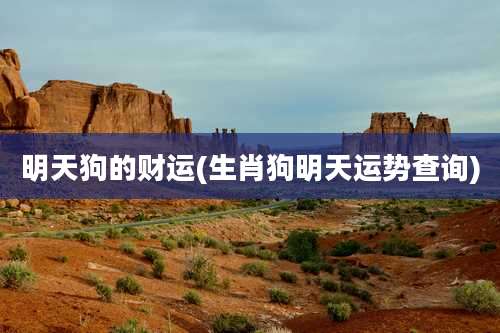 明天狗的财运(生肖狗明天运势查询)