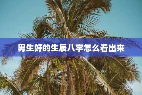 男生好的生辰八字怎么看出来