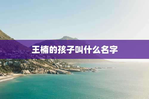 王楠的孩子叫什么名字