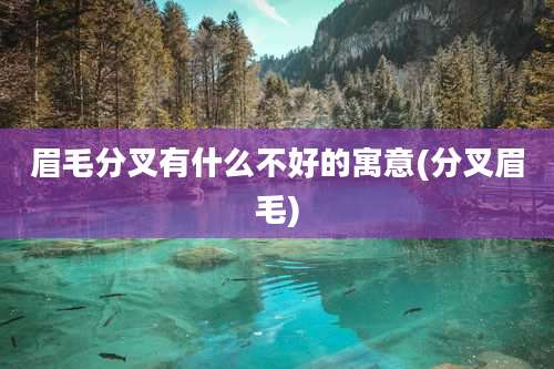 眉毛分叉有什么不好的寓意(分叉眉毛)