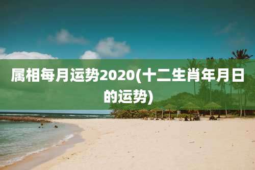 属相每月运势2020(十二生肖年月日的运势)