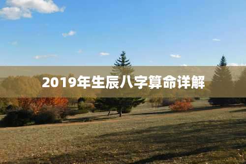 2019年生辰八字算命详解