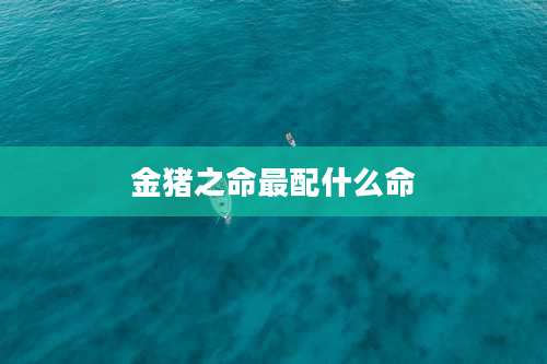 金猪之命最配什么命