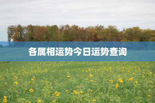 各属相运势今日运势查询