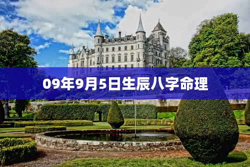 09年9月5日生辰八字命理