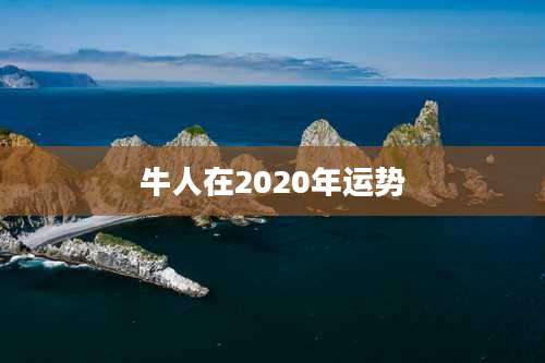 牛人在2020年运势