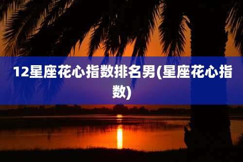 12星座花心指数排名男(星座花心指数)