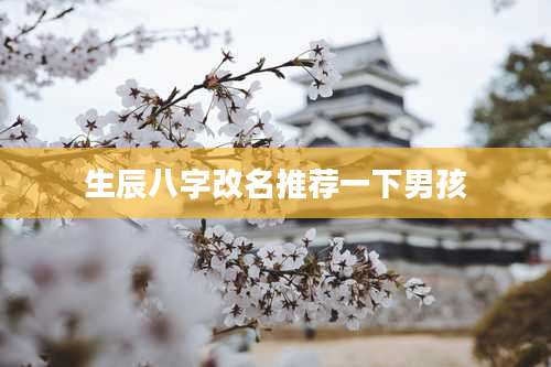 生辰八字改名推荐一下男孩