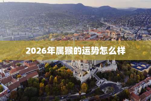 2026年属猴的运势怎么样