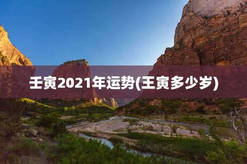 壬寅2021年运势(王寅多少岁)