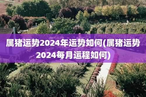 属猪运势2024年运势如何(属猪运势2024每月运程如何)