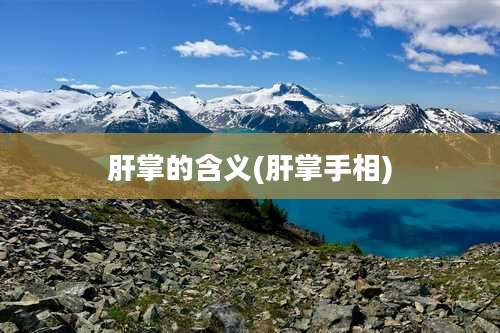 肝掌的含义(肝掌手相)