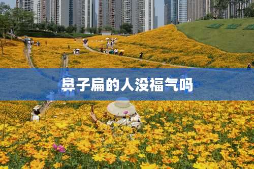 鼻子扁的人没福气吗