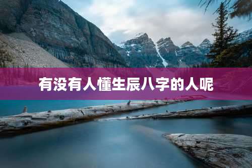 有没有人懂生辰八字的人呢
