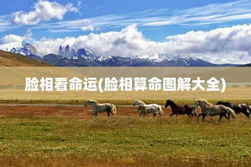 脸相看命运(脸相算命图解大全)