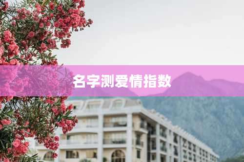 名字测爱情指数