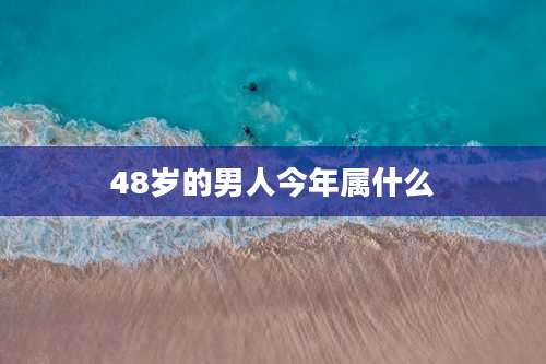 48岁的男人今年属什么