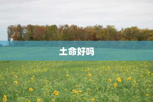 土命好吗