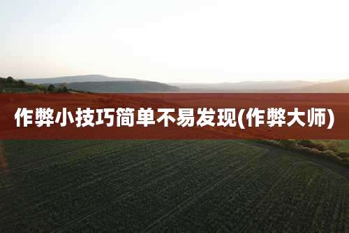 作弊小技巧简单不易发现(作弊大师)