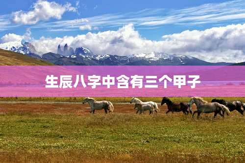 生辰八字中含有三个甲子