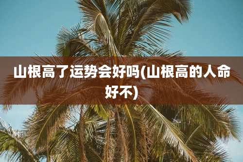 山根高了运势会好吗(山根高的人命好不)